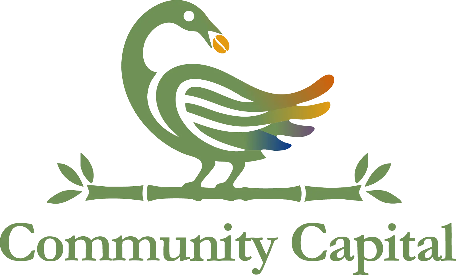 Community Capital