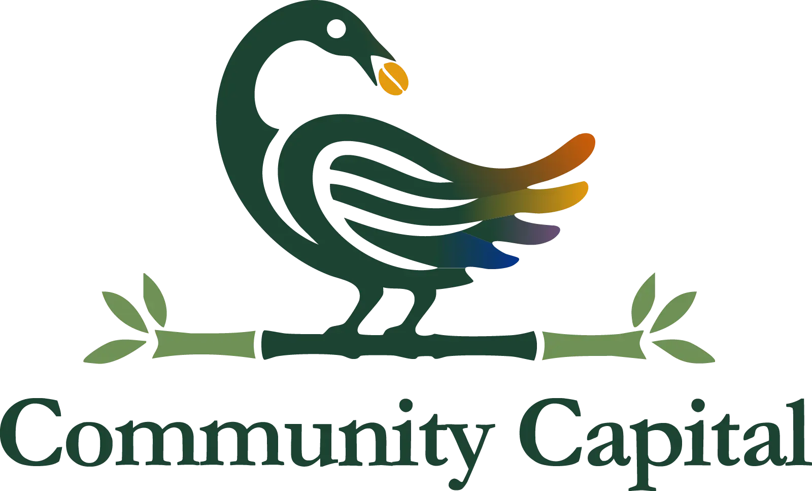 Community Capital
